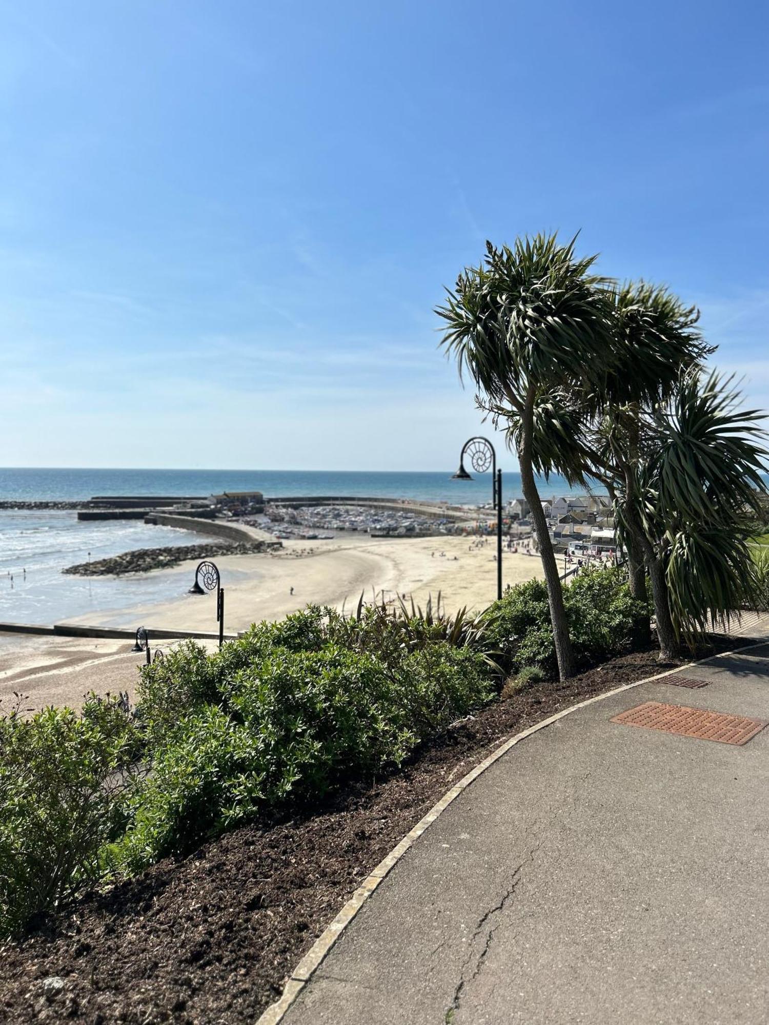 Lucerne B&B Lyme Regis Esterno foto